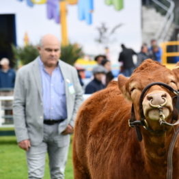 Expo Prado 2019 - Día 9 (24)