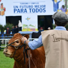 Expo Prado 2019 - Día 9 (25)