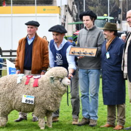 Expo Prado 2019 - Día 9 (27)