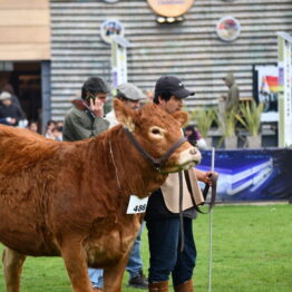 Expo Prado 2019 - Día 9 (28)