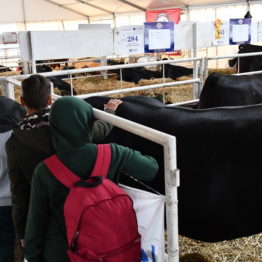 Expo Prado 2019 - Día 9 (30)