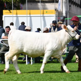 Expo Prado 2019 - Día 9 (37)