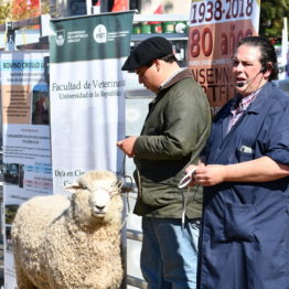 Expo Prado 2019 - Día 9 (72)