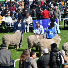 Expo Prado 2019 - Día 9 (76)