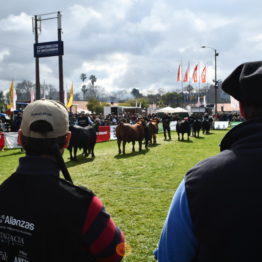 Expo Prado 2019 - Día 9 (8)