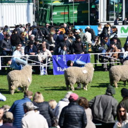 Expo Prado 2019 - Día 9 (83)