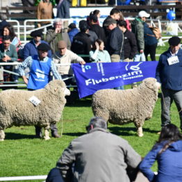 Expo Prado 2019 - Día 9 (85)