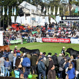 Expo Prado 2019 - Día 9 (89)