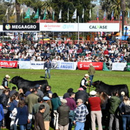 Expo Prado 2019 - Día 9 (90)