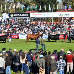 Expo Prado 2019 - Día 9 (91)