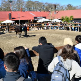 Expo Prado 2019 - Día 9 (94)