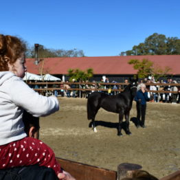 Expo Prado 2019 - Día 9 (95)