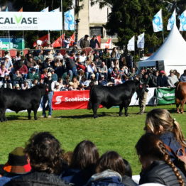 Expo Prado 2019 - Día 9 (96)