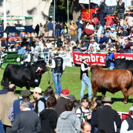 Expo Prado 2019 - Día 9 (97)