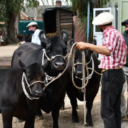 Expo Prado 2020 - Dia 1 (19)