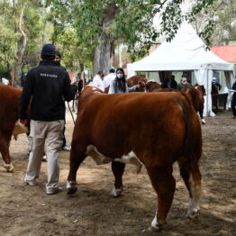 Expo Prado 2020 - Dia 1 (6)