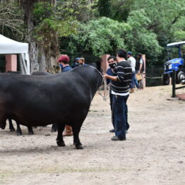 Expo Prado 2020 - Dia 1 (95)