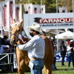 Expo Prado 2020 - Dia 10 (119)