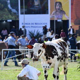 Expo Prado 2020 - Dia 10 (120)