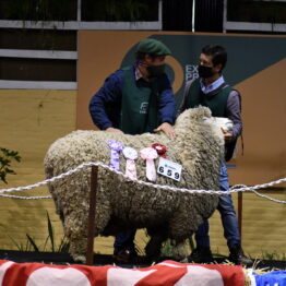 Expo Prado 2020 - Dia 10 (137)