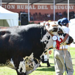 Expo Prado 2020 - Dia 10 (21)