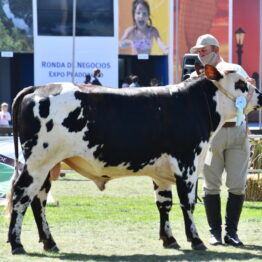 Expo Prado 2020 - Dia 10 (22)