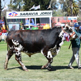 Expo Prado 2020 - Dia 11 (100)