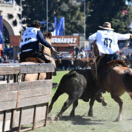 Expo Prado 2020 - Dia 11 (162)