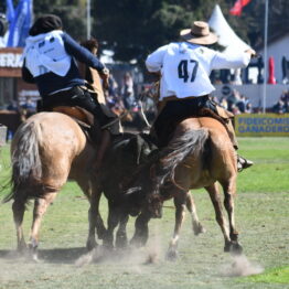 Expo Prado 2020 - Dia 11 (163)