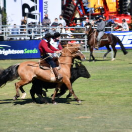 Expo Prado 2020 - Dia 11 (171)