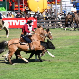 Expo Prado 2020 - Dia 11 (172)