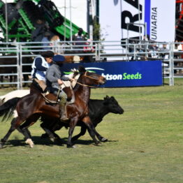 Expo Prado 2020 - Dia 11 (174)