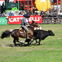 Expo Prado 2020 - Dia 11 (175)