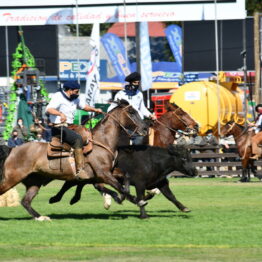 Expo Prado 2020 - Dia 11 (177)