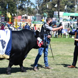 Expo Prado 2020 - Dia 11 (77)