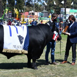 Expo Prado 2020 - Dia 11 (79)