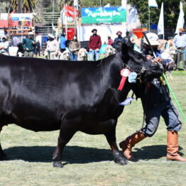 Expo Prado 2020 - Dia 11 (80)