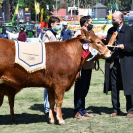 Expo Prado 2020 - Dia 11 (85)