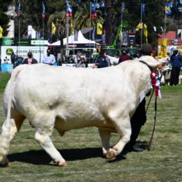 Expo Prado 2020 - Dia 11 (86)