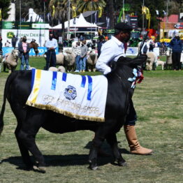 Expo Prado 2020 - Dia 11 (93)