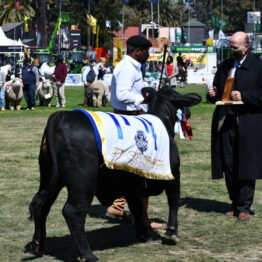 Expo Prado 2020 - Dia 11 (94)