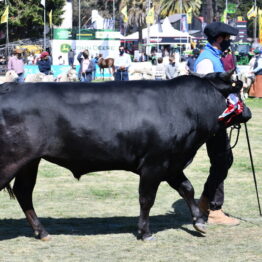 Expo Prado 2020 - Dia 11 (96)