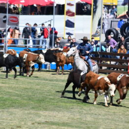 Expo Prado 2020 - Dia 12 (40)