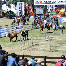 Expo Prado 2020 - Dia 12 (42)