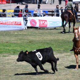 Expo Prado 2020 - Dia 12 (44)