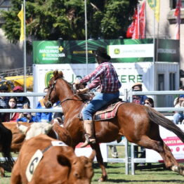 Expo Prado 2020 - Dia 12 (56)