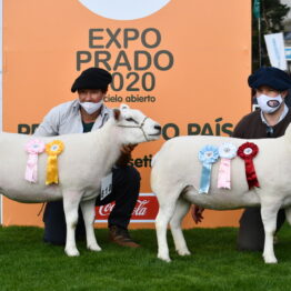 Expo Prado 2020 - Dia 3 (16)