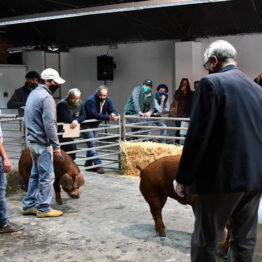 Expo Prado 2020 - Dia 6 (60)