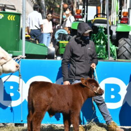 Expo Prado 2020 - Dia 8 (11)