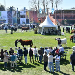 Expo Prado 2020 - Dia 8 (21)